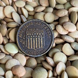 American Red Cross Pro Patria Blood Donor Vintage Antique Lapel Pin Military